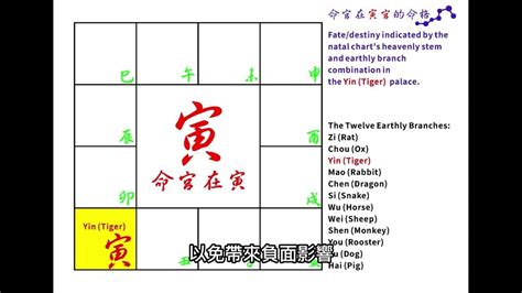 三台八座命宮|紫微斗數筆記: 三台 八座